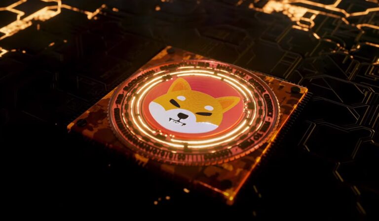 Evaluating Shiba Inu Coin: A Wise Investment Choice?